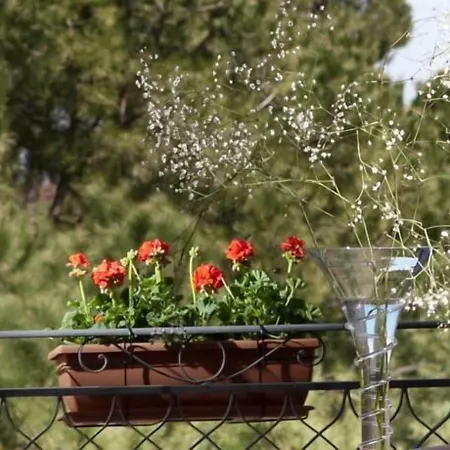 Giardino Hotel 4*